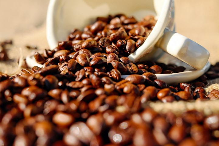 Café brasileiro pode ser redirecionado para outros países após tarifa dos EUA