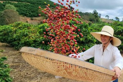 Dia Mundial do Café: cafeicultura transforma vidas em Caratinga, no Vale do Rio Doce