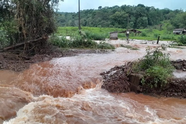 "Tragédia sem precedentes no campo", dizem pequenos agricultores do RS