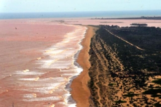 Lama de barragem que se rompeu em Minas avança sobre o mar no EspÃrito Santo (Foto: Paulo de Araújo/Ministério do Meio Ambiente) Lama de barragem que se rompeu em Minas avança sobre o mar no EspÃrito Santo (Foto: Paulo de Araújo/Ministério do Meio Ambiente)
