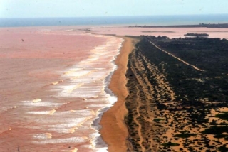 Lama de barragem que se rompeu em Minas avanÃ§a sobre o mar no EspÃ­rito Santo (Foto: Paulo de AraÃºjo/MinistÃ©rio do Meio Ambiente)