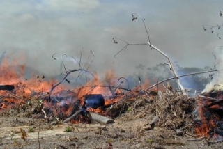 Fenômeno climático provoca seca ou excesso de chuva nos trópicos e zonas subtropicais (Foto: Divulgação/Doug Morton/Nasa) Fenômeno climático provoca seca ou excesso de chuva nos trópicos e zonas subtropicais (Foto: Divulgação/Doug Morton/Nasa)