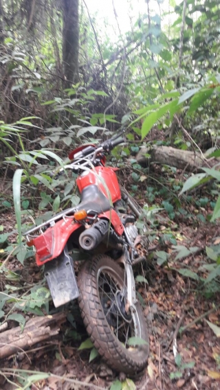Moto estava escondida em um matagal (Foto: Divulgação/PMMG) Moto estava escondida em um matagal (Foto: Divulgação/PMMG)