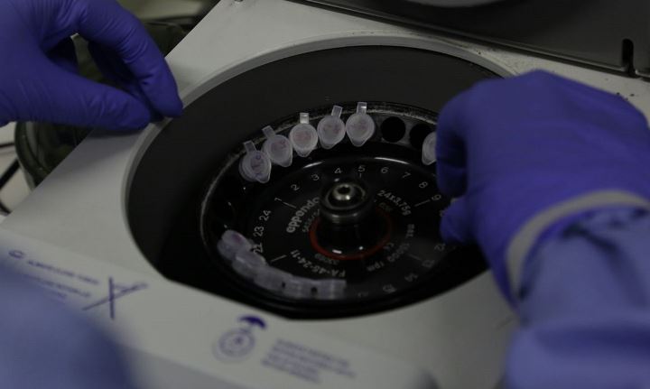 diagnostico_laboratorial_de_casos_suspeitos_do_novo_coronavirus