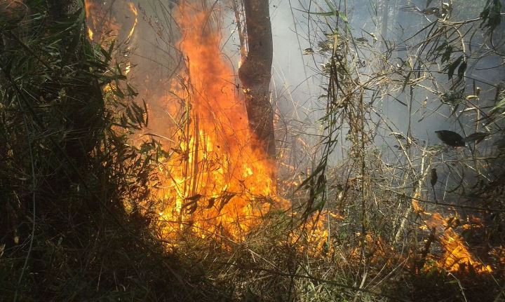 incêndio
