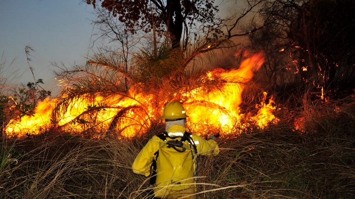 bombeiro combatendo incêndio