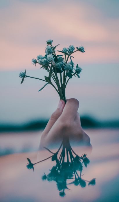 mãos segurando ramo de flor