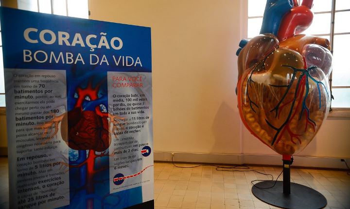 maquete de coração