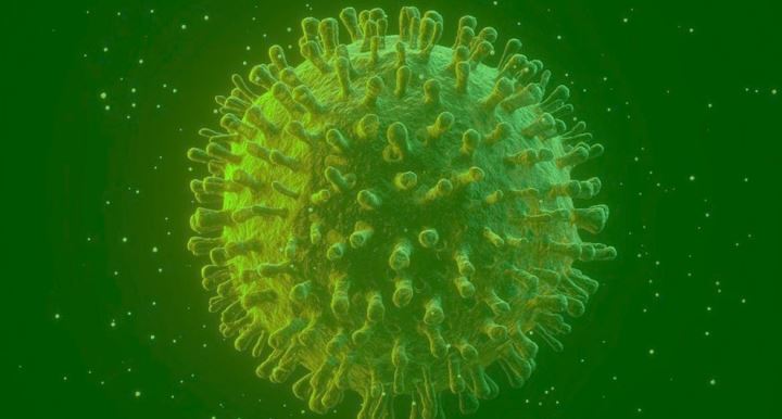 coronavirus