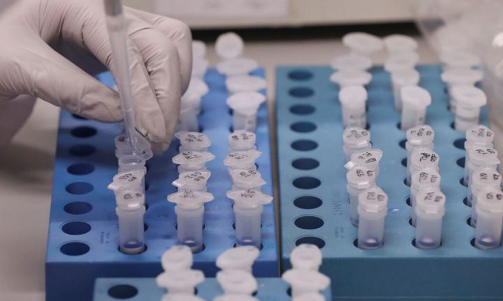 teste de coronavirus