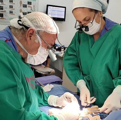 microcirurgia