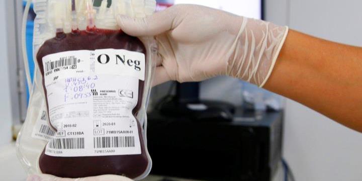 BOLSA DE SANGUE
