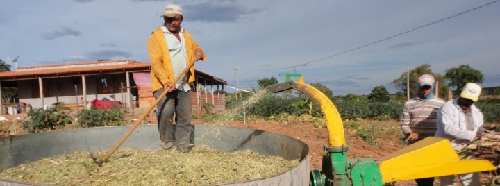 produtor rural