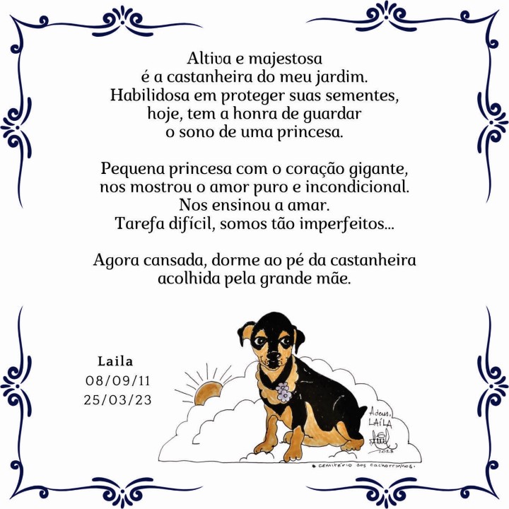 cadelinha laila