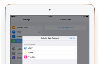 Novo chip da Apple permite trocar de operadora nas configurações do iOS 8 (Foto: Divulgação) Novo chip da Apple permite trocar de operadora nas configurações do iOS 8 (Foto: Divulgação)