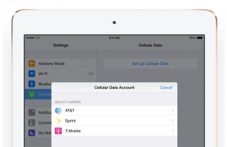 Novo chip da Apple permite trocar de operadora nas configuraÃ§Ãµes do iOS 8 (Foto: DivulgaÃ§Ã£o)