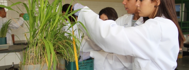 Alunos do ITAC em aula de laboratório. Foto: Erasmo Pereira Alunos do ITAC em aula de laboratório. Foto: Erasmo Pereira