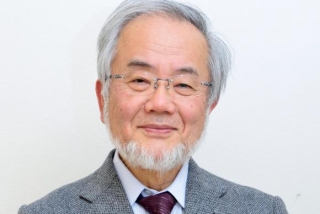 O cientista japonês Yoshinori Ohsumi ganhou o Prêmio Nobel de Medicina de 2016 pela sua descoberta do mecanismo de autofagia (Foto: EPA/TOKYO INSTITUTE OF TECHNOLOGY/HANDOUT MANDATORY CREDIT HANDOUT EDITORIAL USE ONLY/NO SALESTOKYO INSTITUTE OF TECHNOLOGY/HANDOUT) O cientista japonês Yoshinori Ohsumi ganhou o Prêmio Nobel de Medicina de 2016 pela sua descoberta do mecanismo de autofagia (Foto: EPA/TOKYO INSTITUTE OF TECHNOLOGY/HANDOUT MANDATORY CREDIT HANDOUT EDITORIAL USE ONLY/NO SALESTOKYO INSTITUTE OF TECHNOLOGY/HANDOUT)