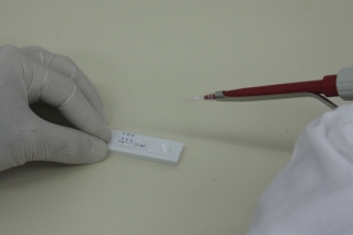 Kit criado por pesquisadoras da Funed traz uma fita que reage à presença do vÃrus e muda de cor (Foto: Divulgação/Funed) Kit criado por pesquisadoras da Funed traz uma fita que reage à presença do vÃrus e muda de cor (Foto: Divulgação/Funed)