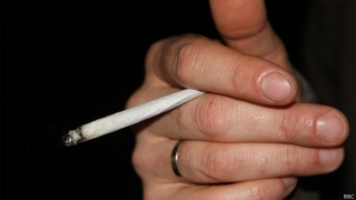 Pesquisadores relacionaram frequÃƒÂªncia de uso e tipo de maconha a risco maior de psicose (Foto: BBC)