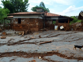 De acordo com o relatório da Emater, 195 propriedades foram atingidas. (Foto: Divulgação/Emater MG) De acordo com o relatório da Emater, 195 propriedades foram atingidas. (Foto: Divulgação/Emater MG)