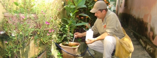 A melhor maneira de prevenir essas doenças é eliminando os possÃveis criadouros do Aedes aegypti (Foto: Frederico Bussinger) A melhor maneira de prevenir essas doenças é eliminando os possÃveis criadouros do Aedes aegypti (Foto: Frederico Bussinger)