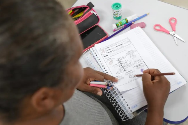 Três em cada dez brasileiros são analfabetos funcionais, aponta Inaf