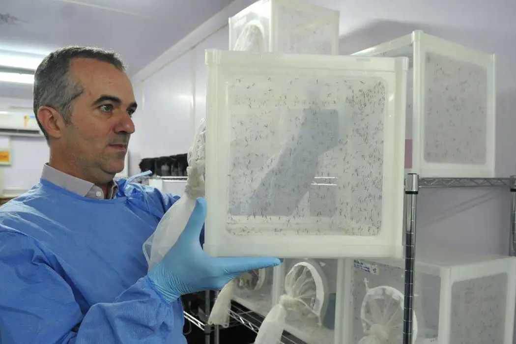 Brasileiro que criou método para bloquear dengue entra na lista da Nature