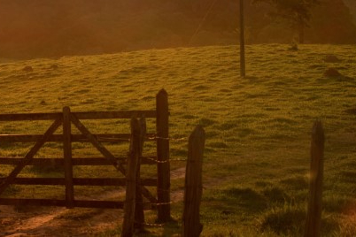 IFSULDEMINAS abre inscrições para cursos gratuitos de turismo rural e projetos turísticos com aulas online